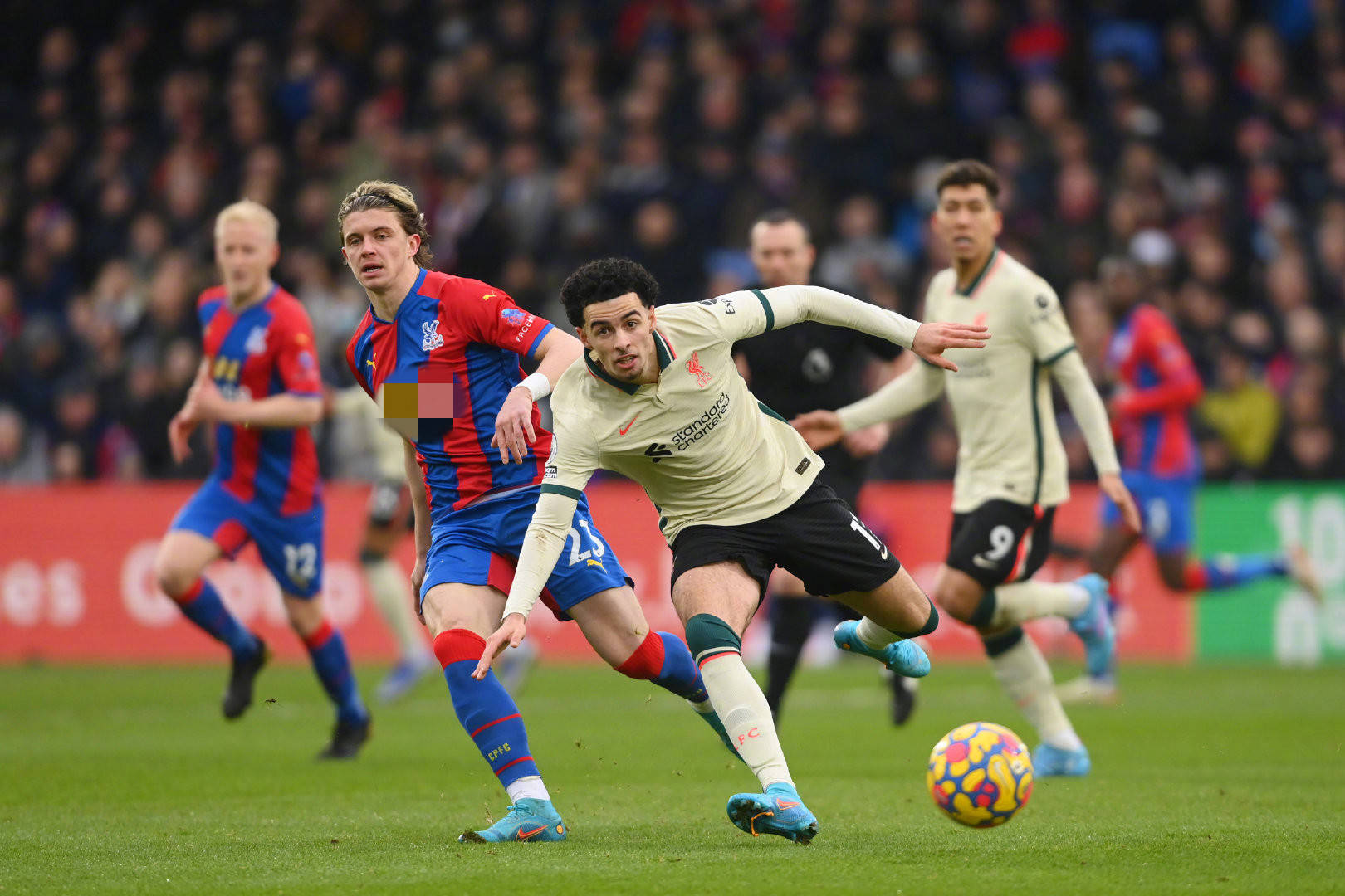 青训营和商 青训营和商